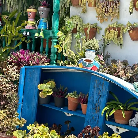 Mar Y Montana Apartman